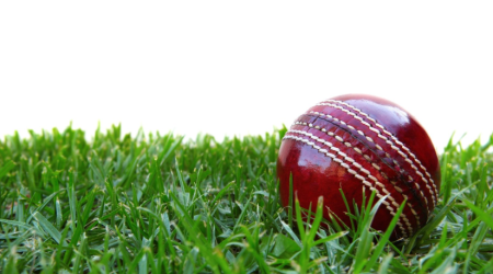 Cricket Ball