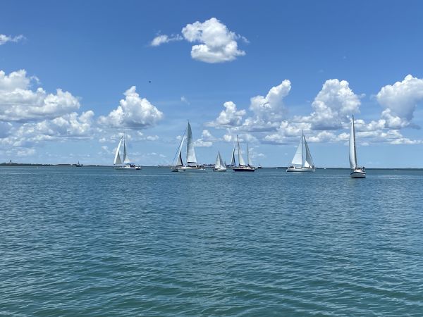 Darwin Harbour - Sailing