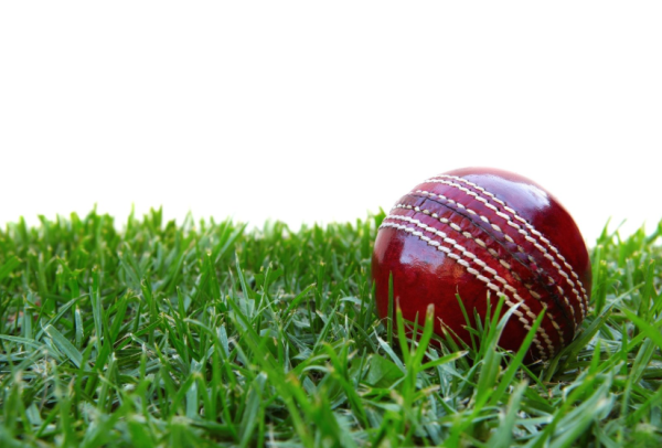 Cricket Ball